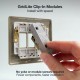 BG Grid Lite Antigue Brass 20A 2Way Module